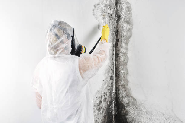 Professional Water damage restoration in Hammonton, NJ