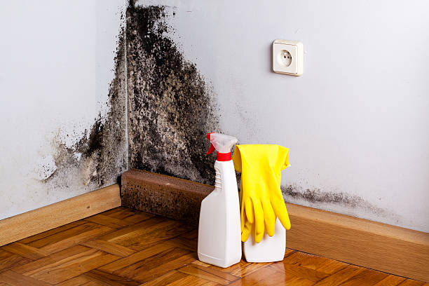 Water damage restoration experts in Hammonton, NJ